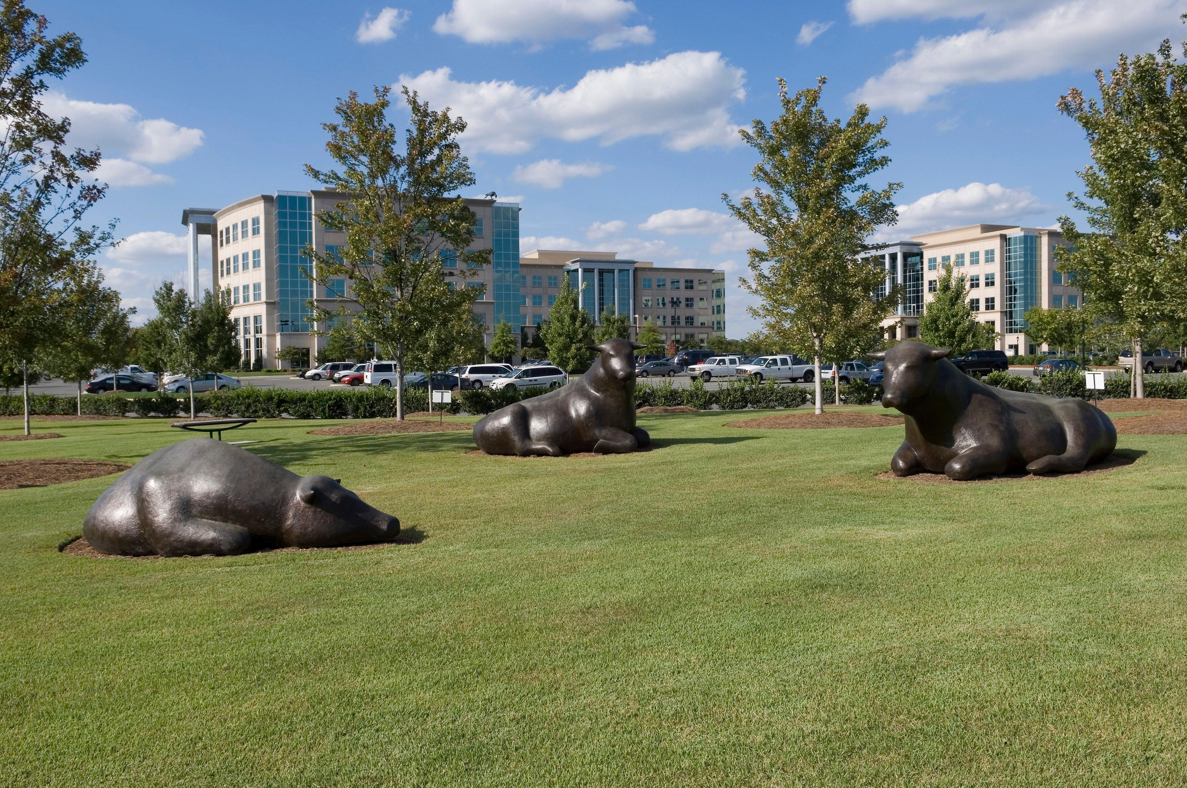 Staybridge Suites - Charlotte Ballantyne By Ihg Extérieur photo